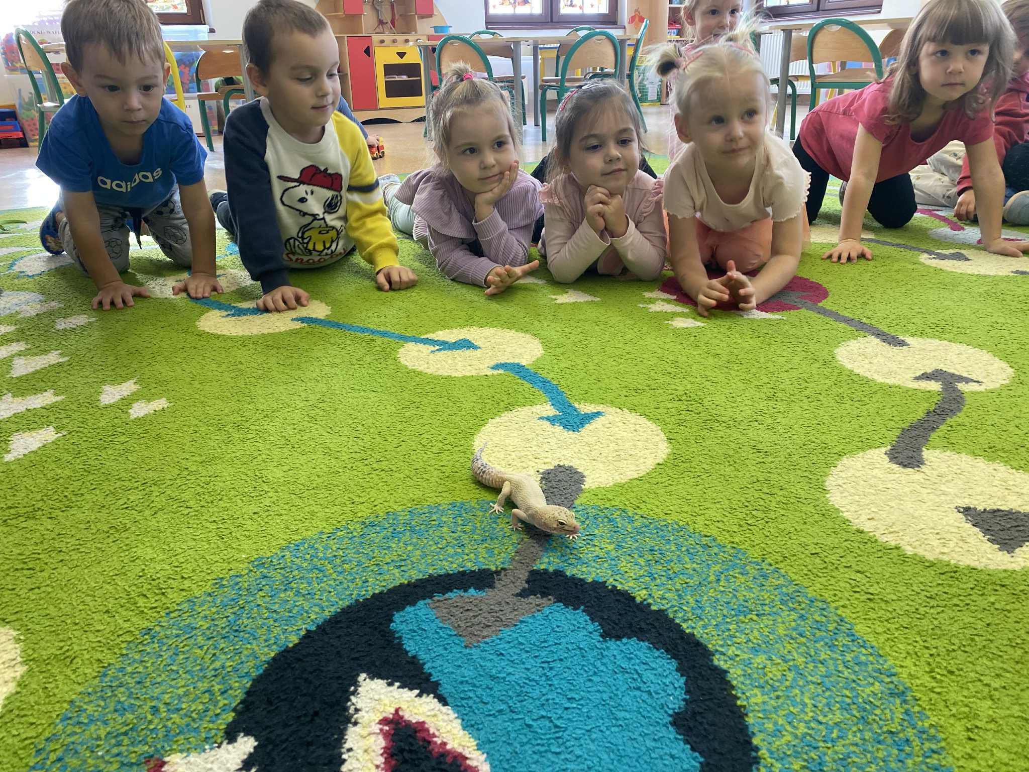 Żywa lekcja przyrody w oddziałach przedszkolnych